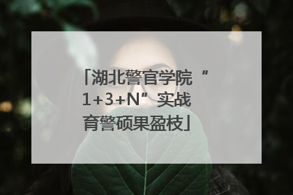 湖北警官学院“1+3+N”实战育警硕果盈枝