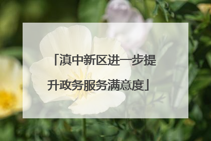 滇中新区进一步提升政务服务满意度