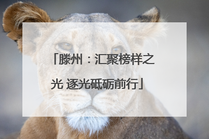 滕州：汇聚榜样之光 逐光砥砺前行