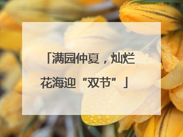 满园仲夏，灿烂花海迎“双节”