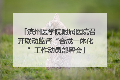 滨州医学院附属医院召开联动监督“合成一体化”工作动员部署会