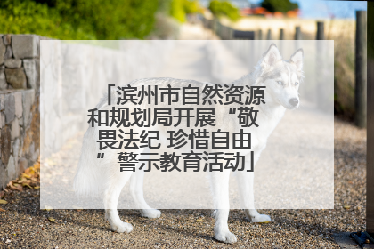滨州市自然资源和规划局开展“敬畏法纪 珍惜自由”警示教育活动