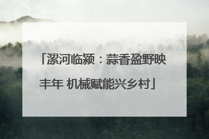 漯河临颍：蒜香盈野映丰年 机械赋能兴乡村