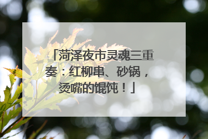 菏泽夜市灵魂三重奏：红柳串、砂锅，烫嘴的馄饨！