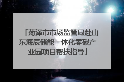 菏泽市市场监管局赴山东海辰储能一体化零碳产业园项目帮扶指导