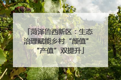 菏泽鲁西新区：生态治理赋能乡村“颜值”“产值”双提升
