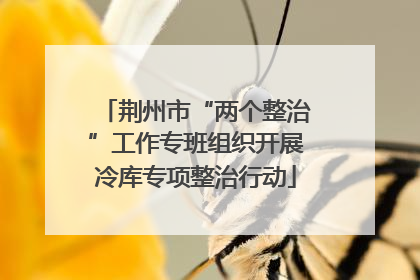 荆州市“两个整治”工作专班组织开展冷库专项整治行动