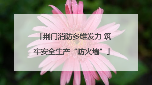荆门消防多维发力 筑牢安全生产“防火墙”
