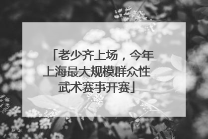 老少齐上场，今年上海最大规模群众性武术赛事开赛