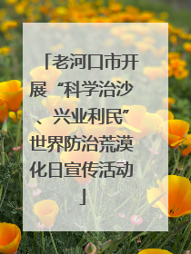老河口市开展“科学治沙、兴业利民”世界防治荒漠化日宣传活动