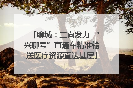 聊城：三向发力 “兴聊号”直通车精准输送医疗资源直达基层