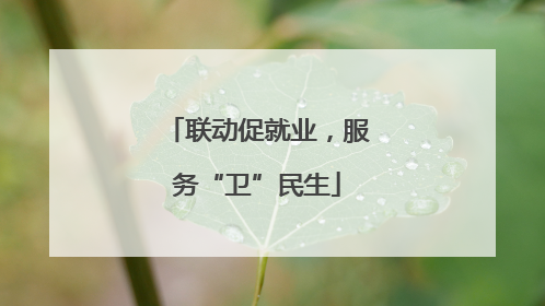 联动促就业，服务“卫”民生