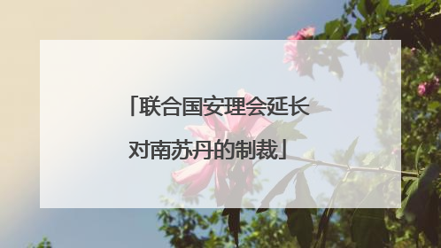 联合国安理会延长对南苏丹的制裁