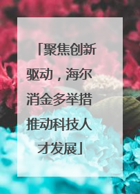 聚焦创新驱动，海尔消金多举措推动科技人才发展