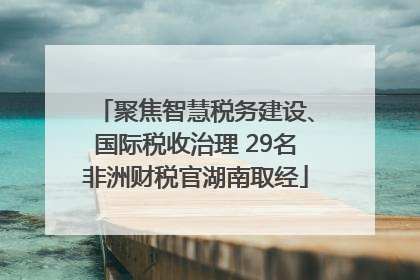 聚焦智慧税务建设、国际税收治理 29名非洲财税官湖南取经