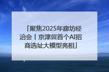 聚焦2025年廊坊经洽会丨京津冀首个AI招商选址大模型亮相