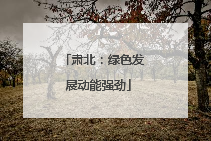 肃北：绿色发展动能强劲