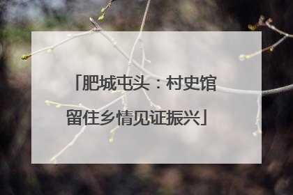 肥城屯头：村史馆留住乡情见证振兴
