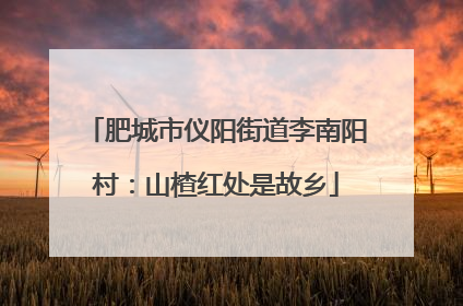 肥城市仪阳街道李南阳村：山楂红处是故乡