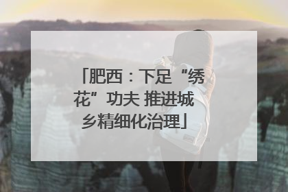 肥西：下足“绣花”功夫 推进城乡精细化治理