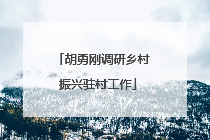 胡勇刚调研乡村振兴驻村工作