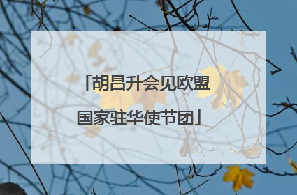 胡昌升会见欧盟国家驻华使节团