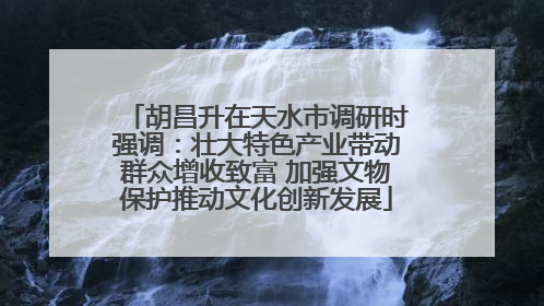 胡昌升在天水市调研时强调：壮大特色产业带动群众增收致富 加强文物保护推动文化创新发展