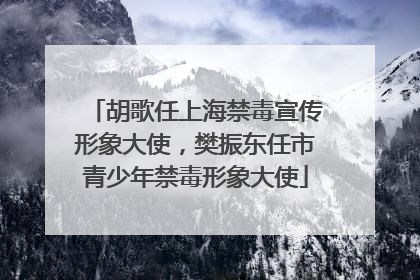 胡歌任上海禁毒宣传形象大使，樊振东任市青少年禁毒形象大使