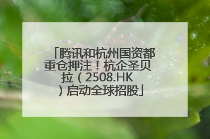 腾讯和杭州国资都重仓押注！杭企圣贝拉（2508.HK）启动全球招股