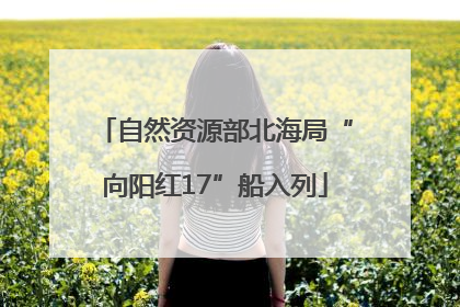 自然资源部北海局“向阳红17”船入列