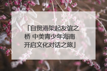 自贸港架起友谊之桥 中美青少年海南开启文化对话之旅