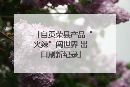 自贡荣县产品“火辣”闯世界 出口刷新纪录
