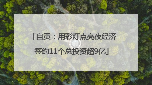 自贡：用彩灯点亮夜经济 签约11个总投资超9亿
