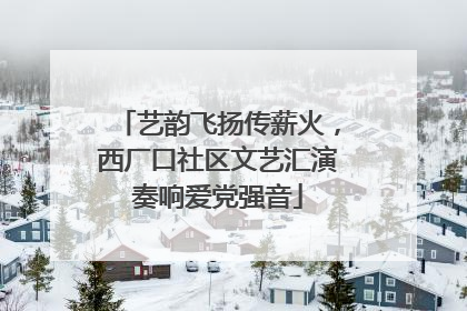 艺韵飞扬传薪火，西厂口社区文艺汇演奏响爱党强音