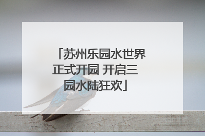苏州乐园水世界正式开园 开启三园水陆狂欢