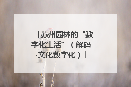 苏州园林的“数字化生活”（解码·文化数字化）