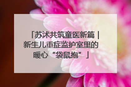 苏沭共筑童医新篇｜新生儿重症监护室里的暖心“袋鼠抱”