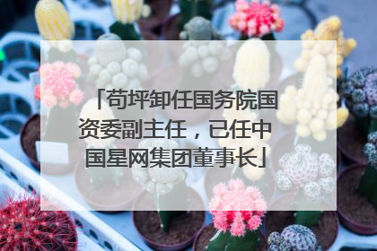 苟坪卸任国务院国资委副主任，已任中国星网集团董事长