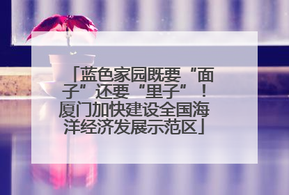 蓝色家园既要“面子”还要“里子”！厦门加快建设全国海洋经济发展示范区