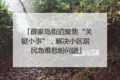 薛家岛街道聚焦“关键小事”，解决小区居民急难愁盼问题