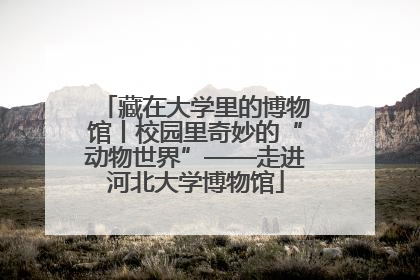 藏在大学里的博物馆丨校园里奇妙的“动物世界”——走进河北大学博物馆