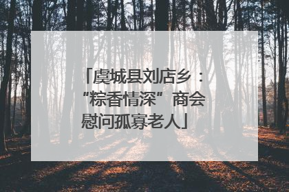 虞城县刘店乡：“粽香情深”商会慰问孤寡老人