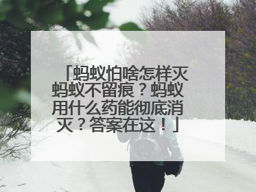 蚂蚁怕啥怎样灭蚂蚁不留痕？蚂蚁用什么药能彻底消灭？答案在这！