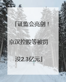 证监会亮剑！京汉控股等被罚没2.3亿元