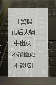 警惕！雨后大蜗牛出没 不能碰更不能吃