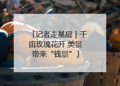 记者走基层｜千亩玫瑰花开 美景带来“钱景”