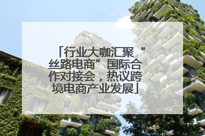 行业大咖汇聚“丝路电商”国际合作对接会，热议跨境电商产业发展