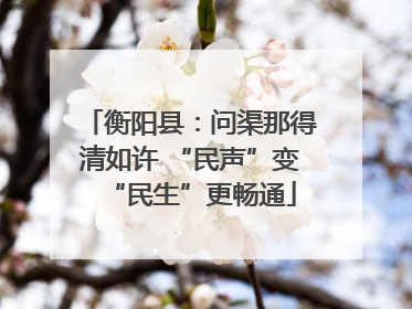 衡阳县：问渠那得清如许 “民声”变“民生”更畅通