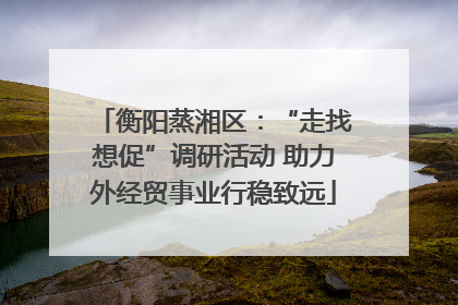 衡阳蒸湘区：“走找想促”调研活动 助力外经贸事业行稳致远