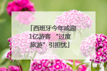 西班牙今年或迎1亿游客 “过度旅游”引担忧
